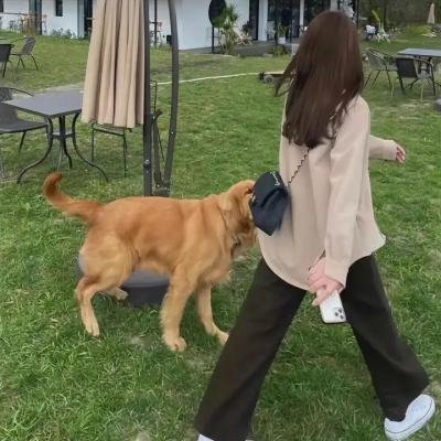 黄泉归来